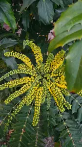 Leentje 01 Zomaar voor mijn deur